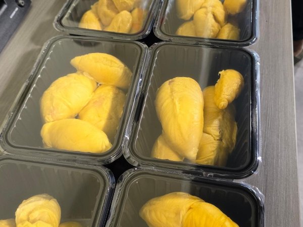 S8 Durian